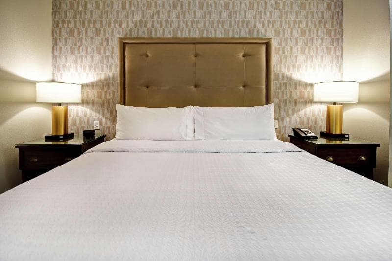 Homewood Suites by Hilton Dallas/Arlington South 3