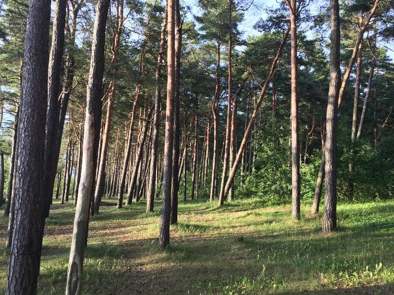 Pirita Beach Apartments & Spa 5