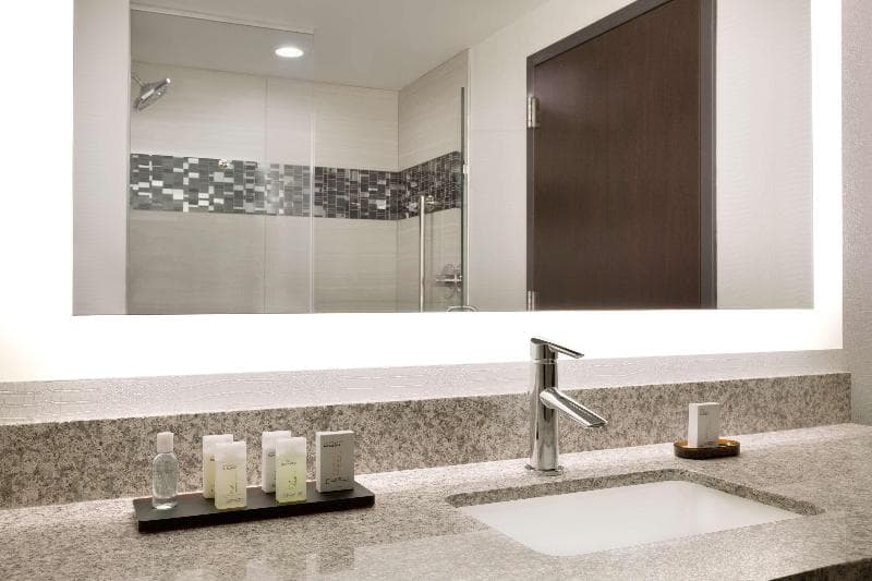 Embassy Suites by Hilton Atlanta NE Gwinnett Sugarloaf 4