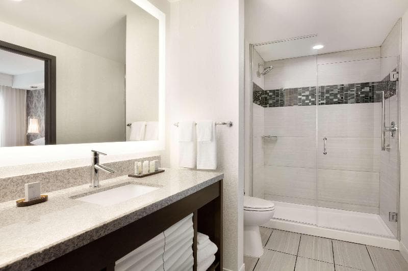 Embassy Suites by Hilton Atlanta NE Gwinnett Sugarloaf 5