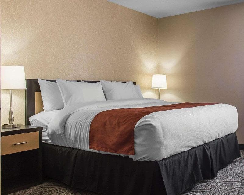 Quality Inn & Suites Kingston 4