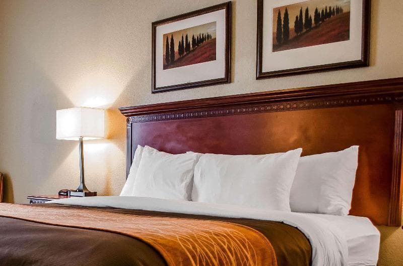 Comfort Inn & Suites Mobile Near Eastern Shore Centre 2