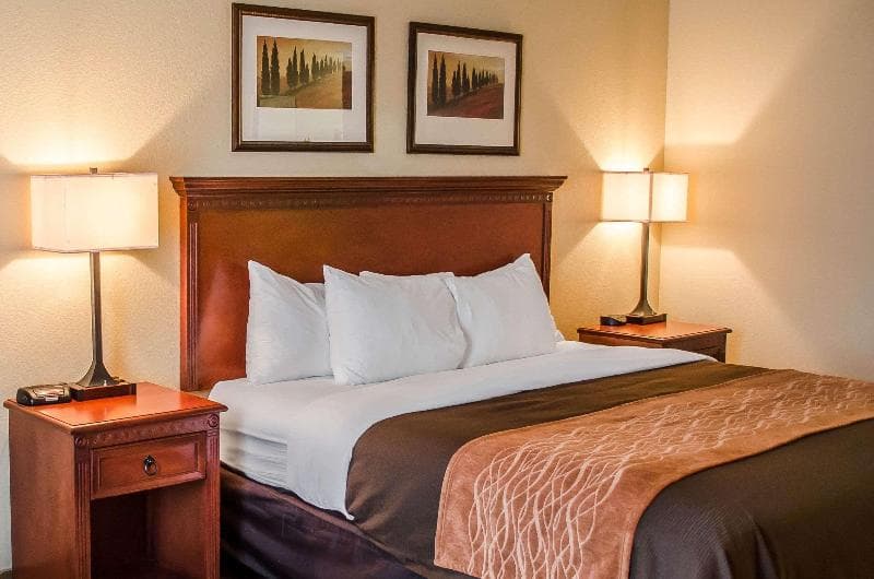 Comfort Inn & Suites Mobile Near Eastern Shore Centre 5