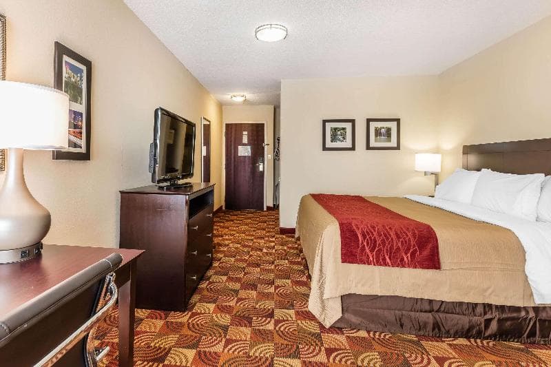 Comfort Inn & Suites Jasper Hwy 78 West 2