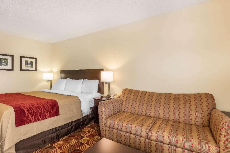 Comfort Inn & Suites Jasper Hwy 78 West 4