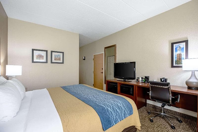 Comfort Inn Indianapolis North - Carmel 5