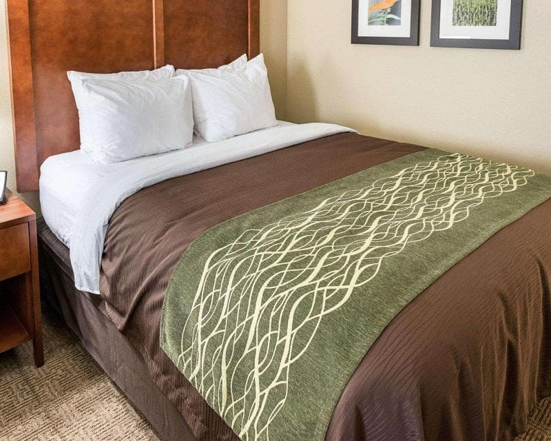 Comfort Inn & Suites West Medical Center 1