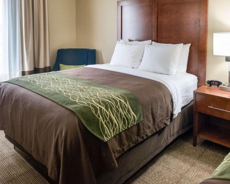 Comfort Inn & Suites West Medical Center 2