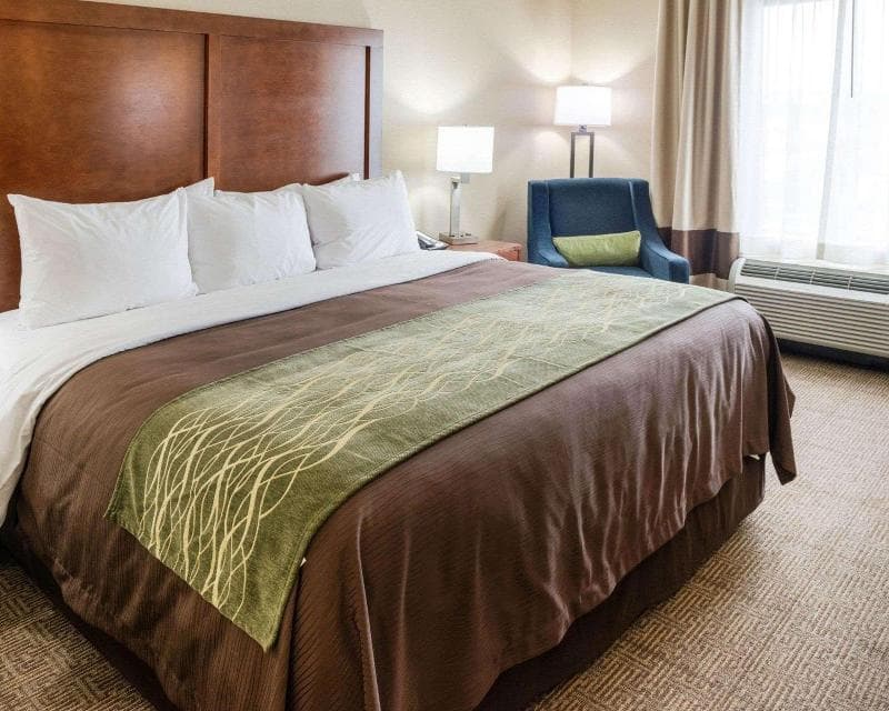 Comfort Inn & Suites West Medical Center 4