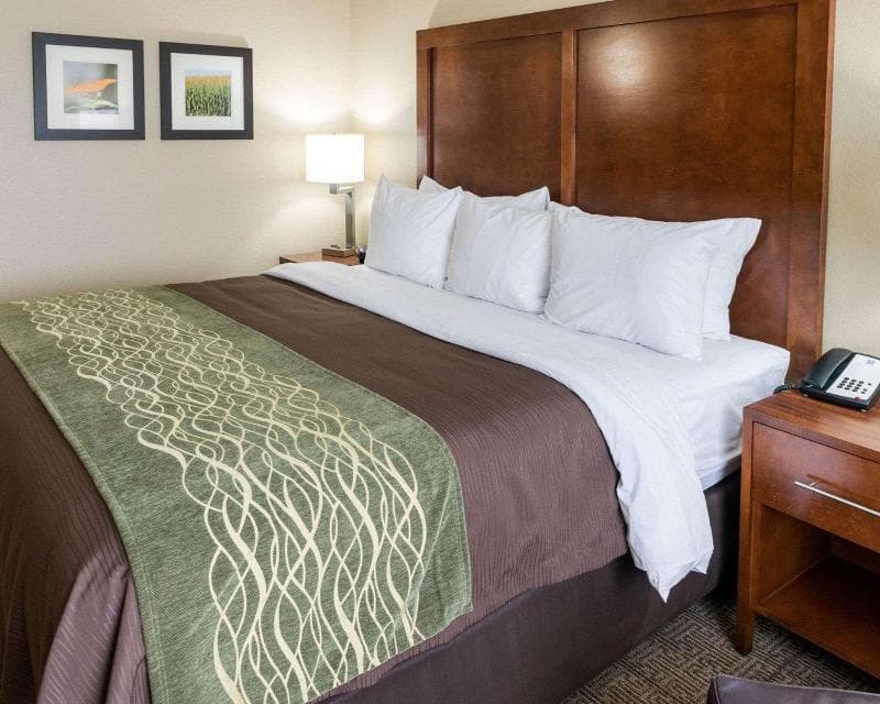 Comfort Inn & Suites West Medical Center 5