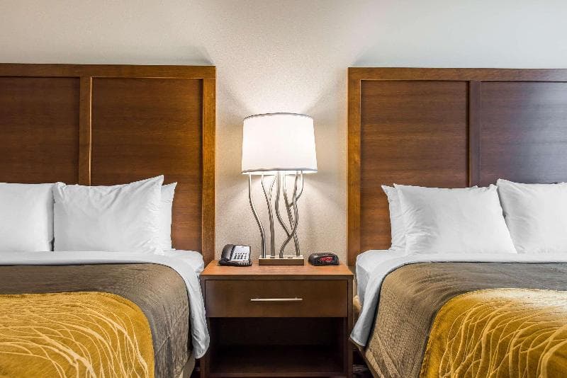 Comfort Inn And Suites Valdosta 3