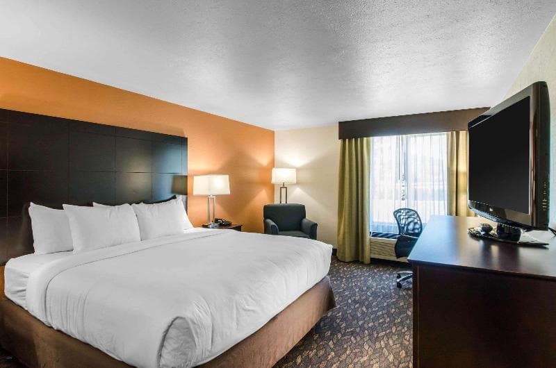 Comfort Inn & Suites 3