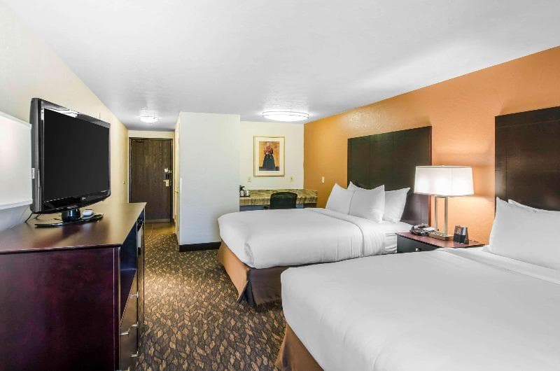 Comfort Inn & Suites 5