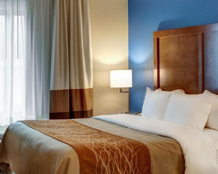 Comfort Inn & Suites 2