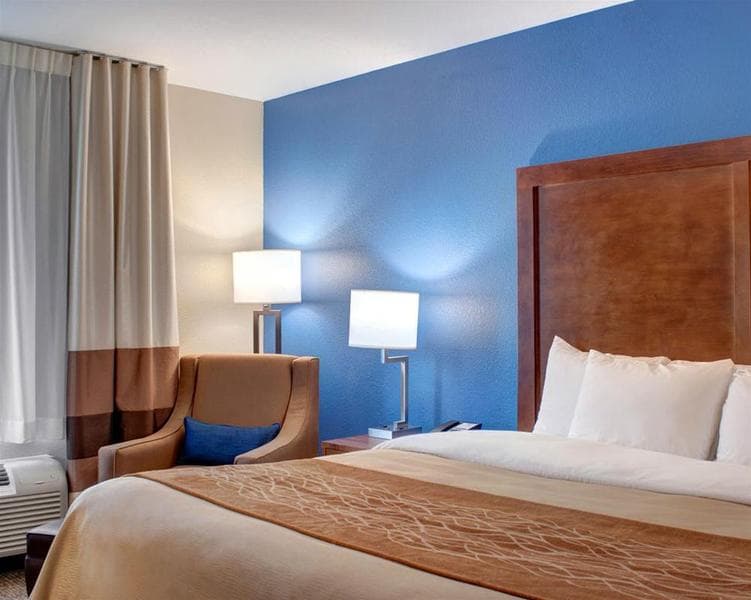 Comfort Inn & Suites 3