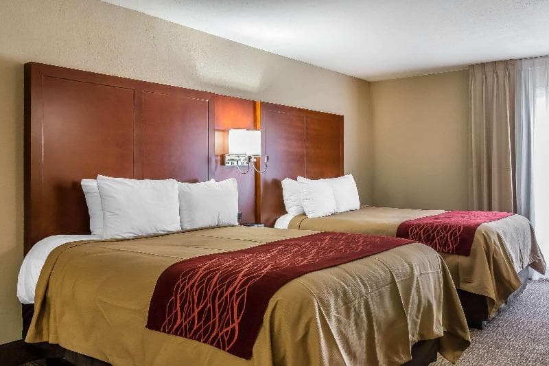 Comfort Inn 4