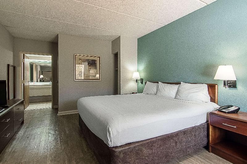Econo Lodge Americus Area 3