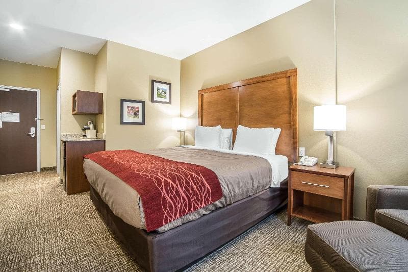 Comfort Inn & Suites Near Mt. Rushmore photo 1