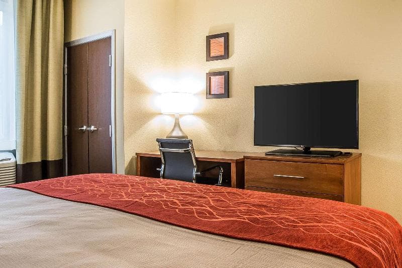 Comfort Inn & Suites Near Mt. Rushmore 2