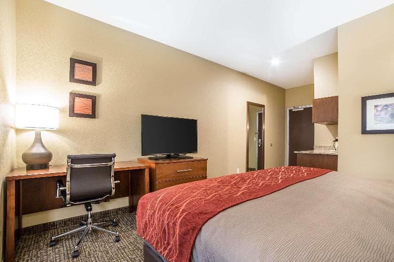 Comfort Inn & Suites Near Mt. Rushmore 3