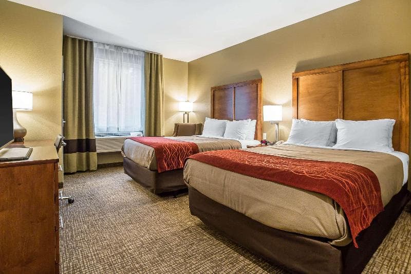 Comfort Inn & Suites Near Mt. Rushmore 4