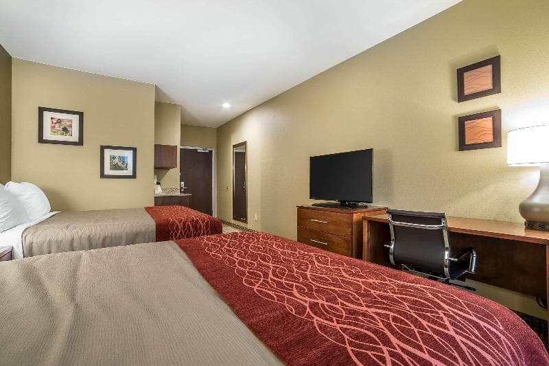 Comfort Inn & Suites Near Mt. Rushmore 5