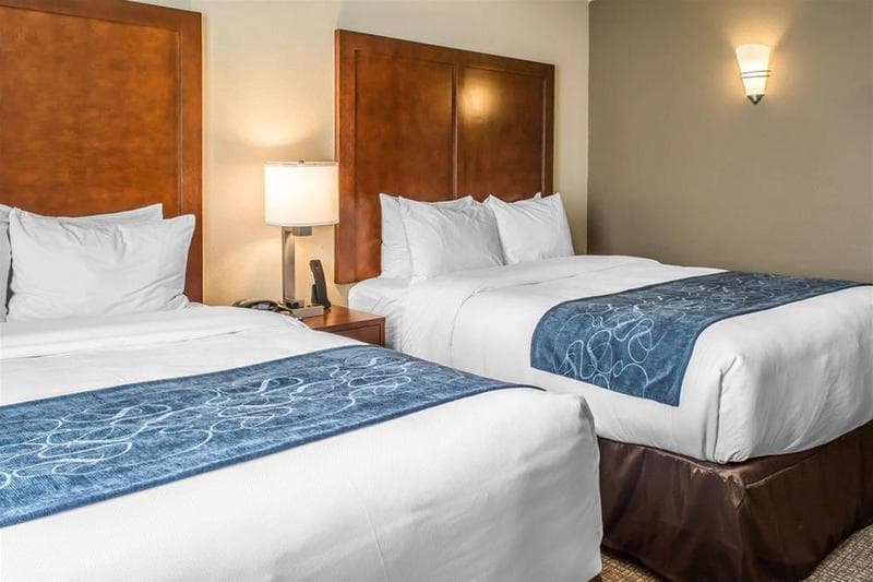 Comfort Suites Near Potomac Mills photo 1