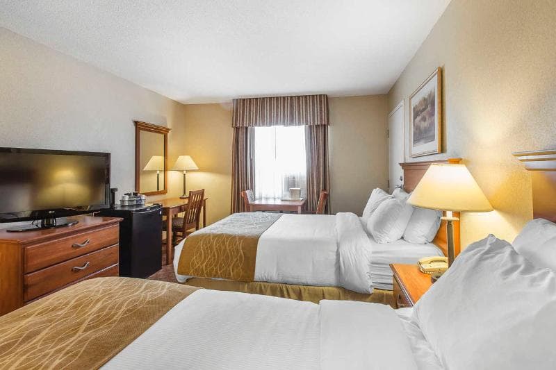 Comfort Inn 4