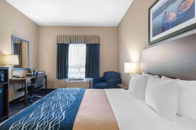 Comfort Inn & Suites 3