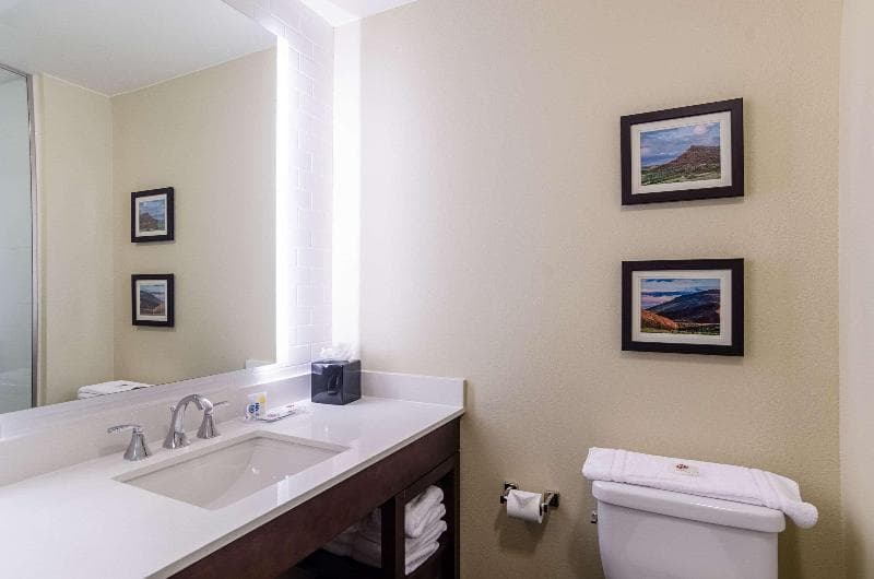 Comfort Suites Loveland 4