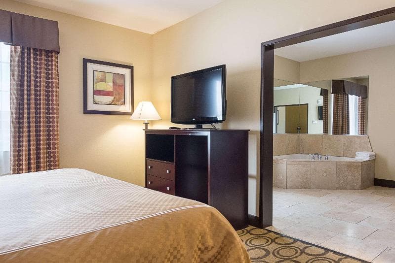 Rodeway Inn & Suites Winnfield 4