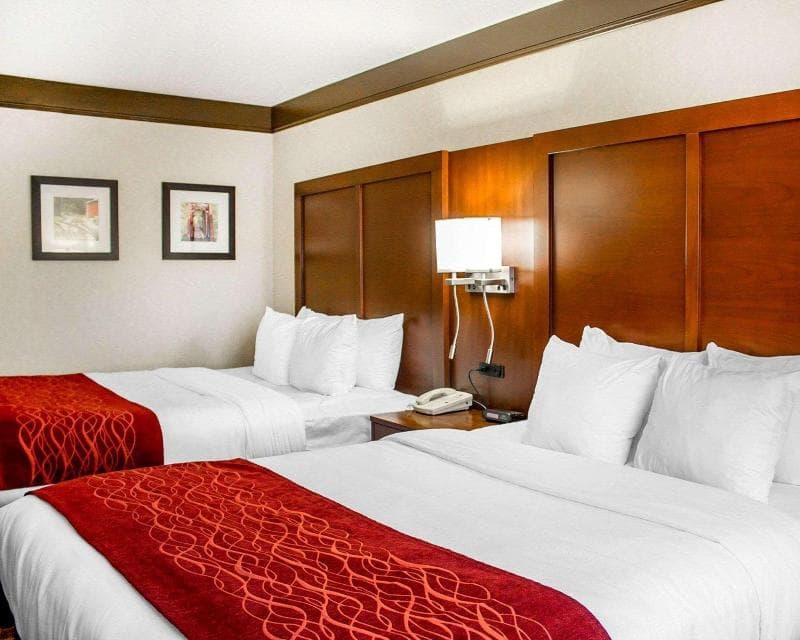 Comfort Inn photo 1