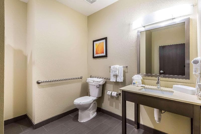 Comfort Suites Northwest Houston At Beltway 8 3