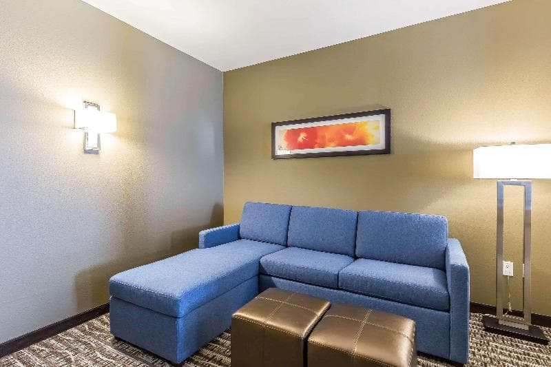 Comfort Suites Northwest Houston At Beltway 8 5