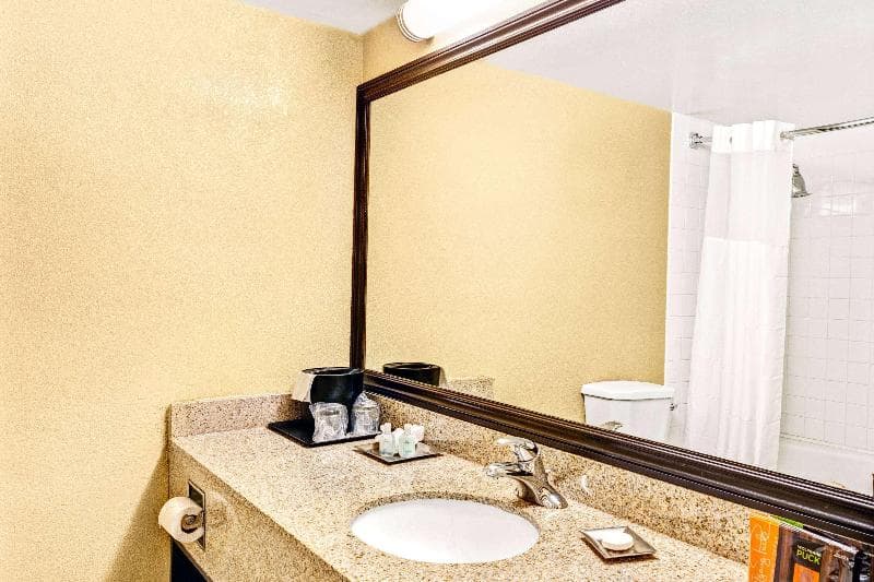Wyndham Garden Romulus Detroit Metro Airport 4