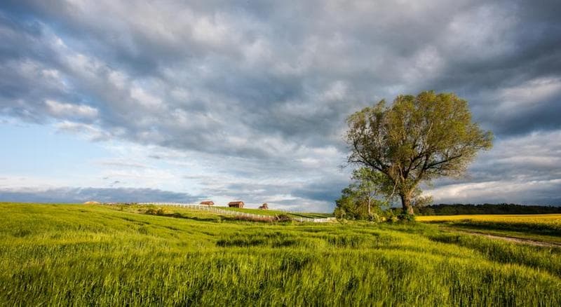 Palac Ciekocinko Hotel Resort & Wellness 4