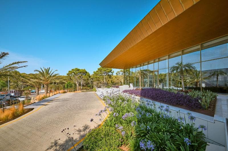 Hipotels Playa De Palma Palace - Adults Only 4