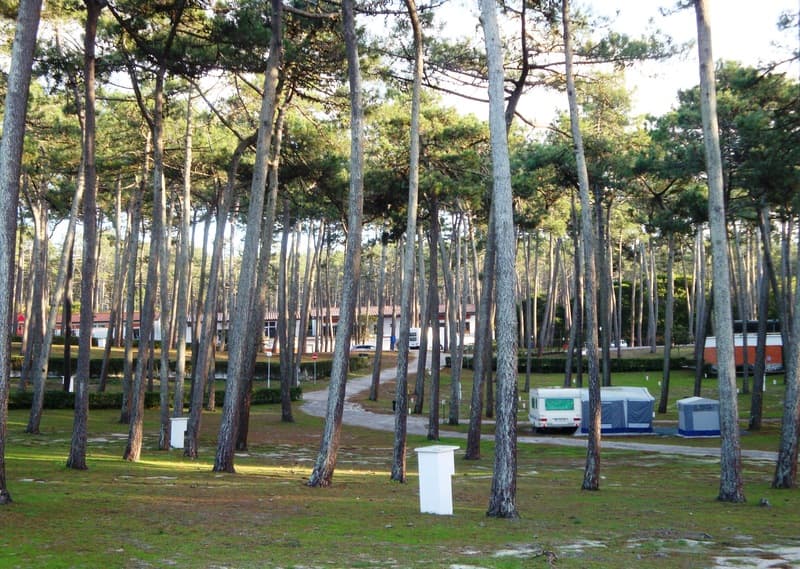 Orbitur Sao Pedro De Moel photo 1