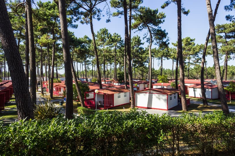 Orbitur Sao Pedro De Moel 3