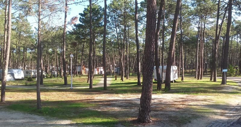 Orbitur Vagueira photo 1