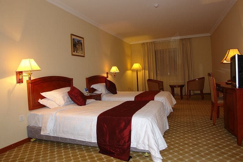 Dreamliner Hotel 4
