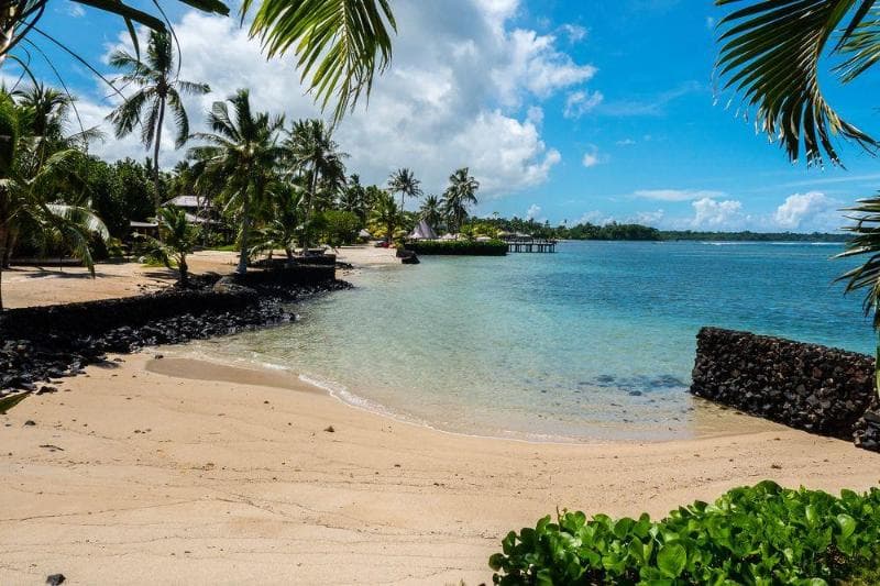Coconuts Beach Club & Resort 5