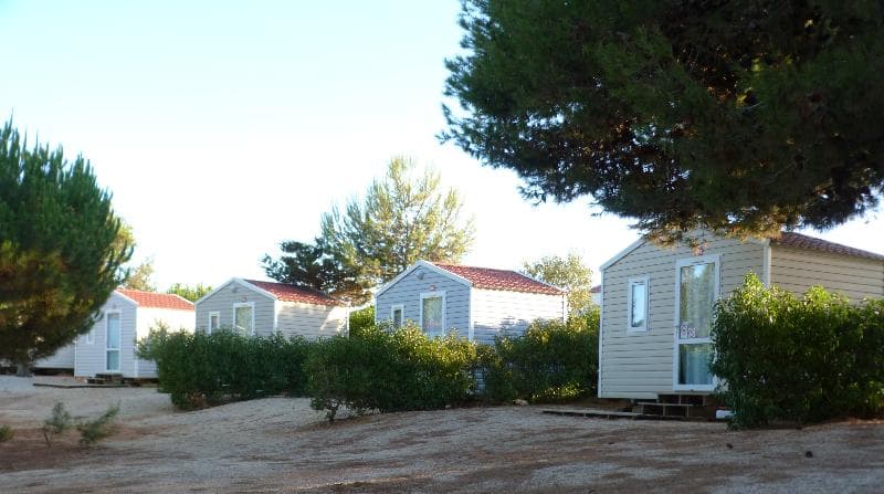 Parque De Campismo Orbitur Sagres main