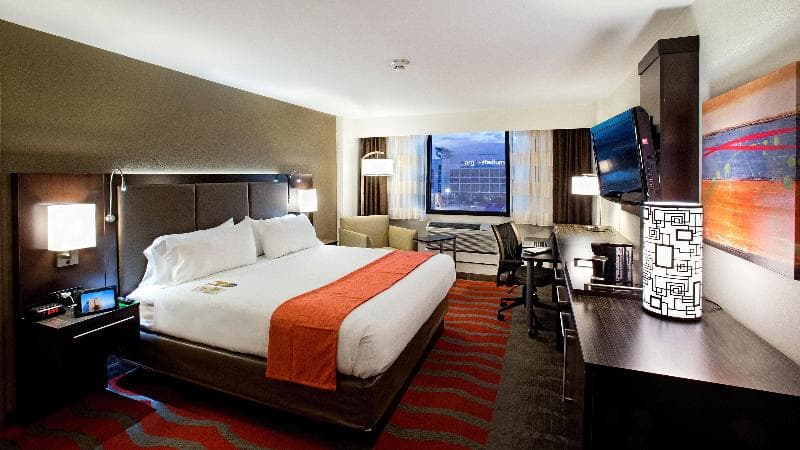 Holiday Inn Houston S - Nrg Area - Med Ctr 5