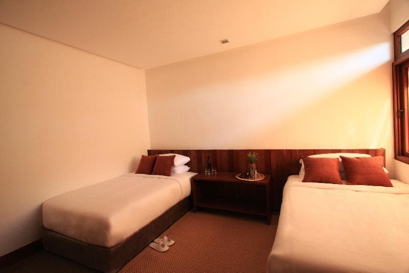 The Funny Lion Inn 5