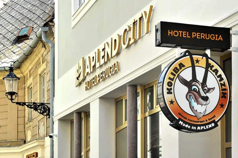 Aplend City Hotel Perugia 3