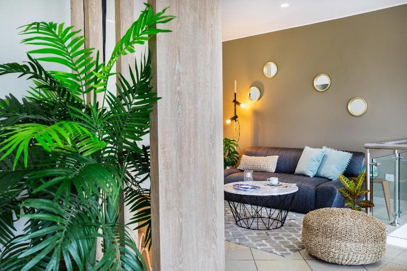 Palmetto La Perla 3