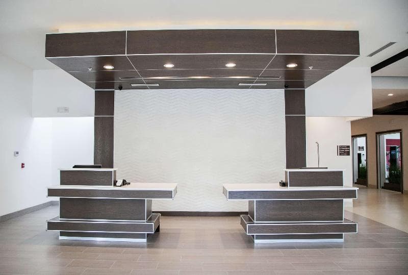 Hilton Garden Inn Tampa Suncoast Parkway 3