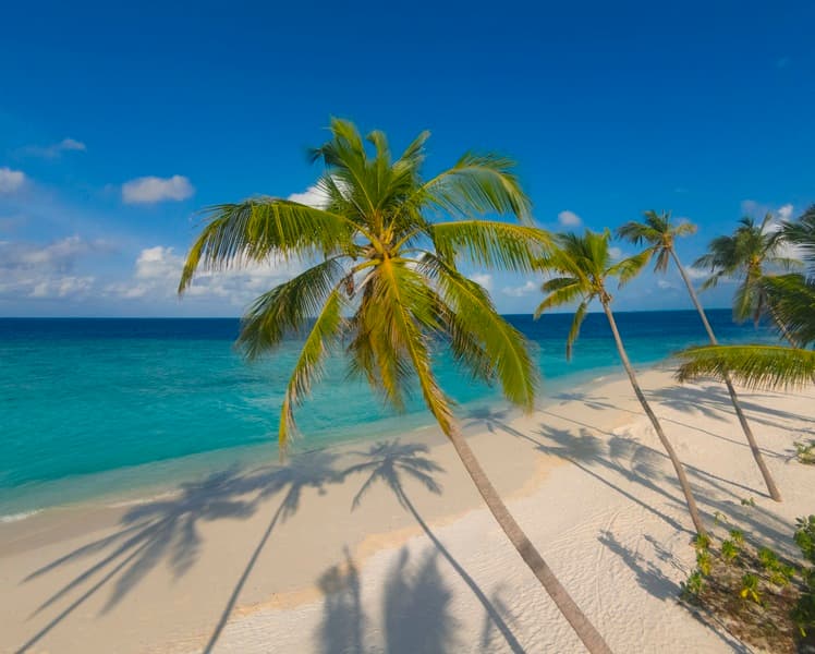 Milaidhoo Island Resort 2