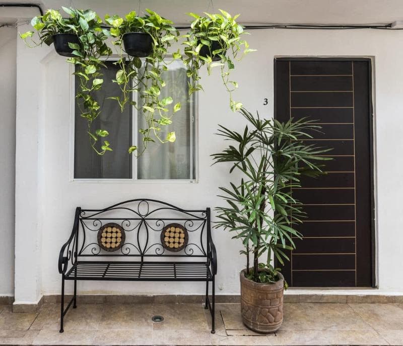 Coconut Hotel Boutique photo 1